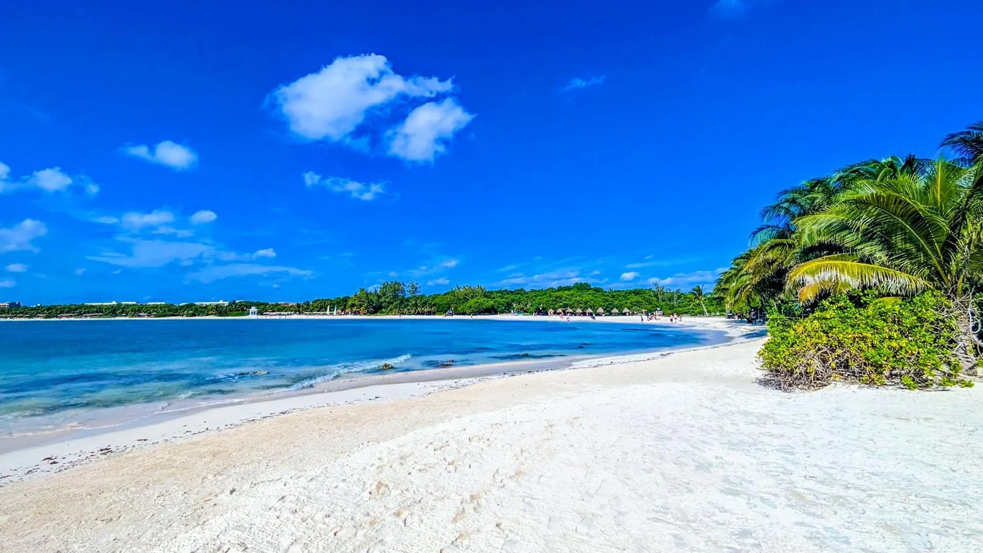 500M To Beach L Queen Beds Kitchen L Pool Patio Gym Bikes Ac 30203 Playa del Carmen 0*,  Mexiko